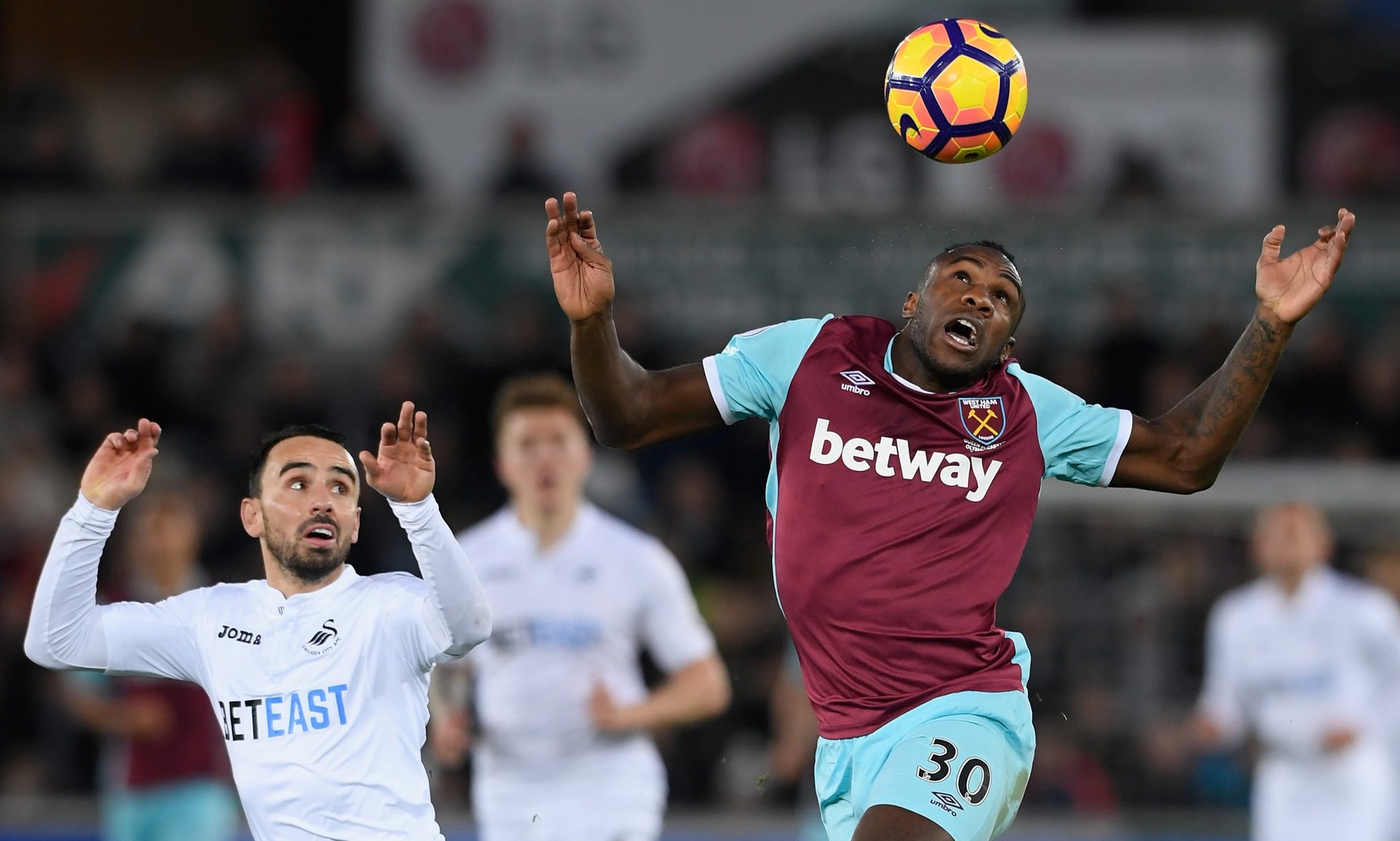 他们要在新 他们要在新